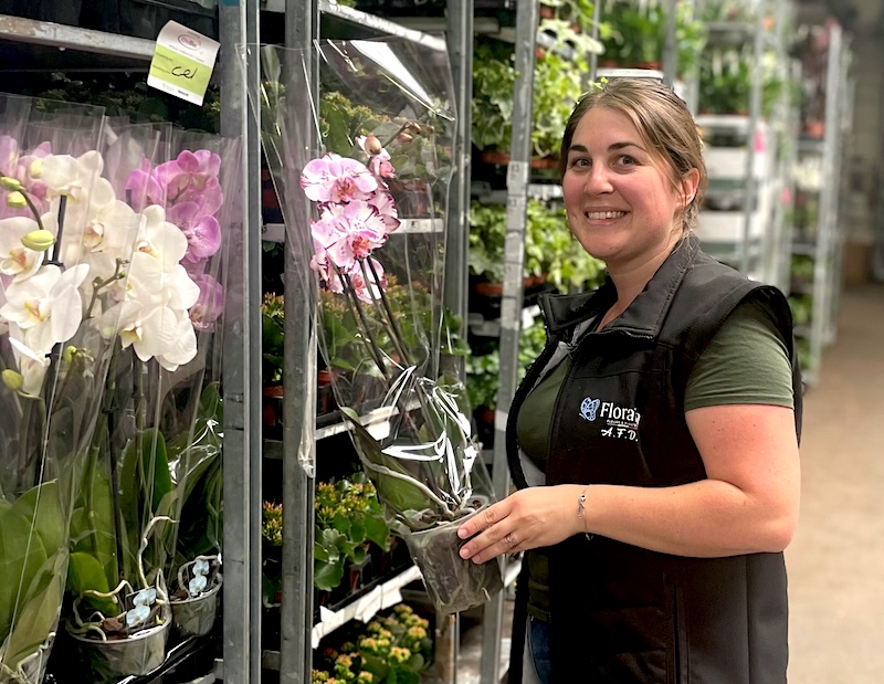 Arrivages quotidiens de fleurs et plantes en gros