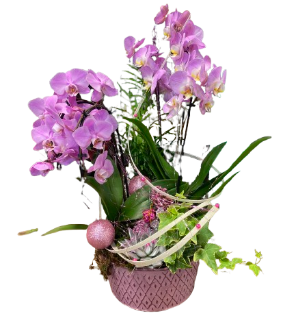 Accessoires divers