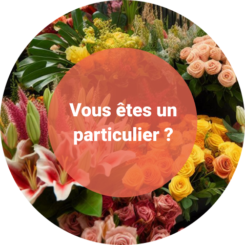 Vous êtes un particulier ?