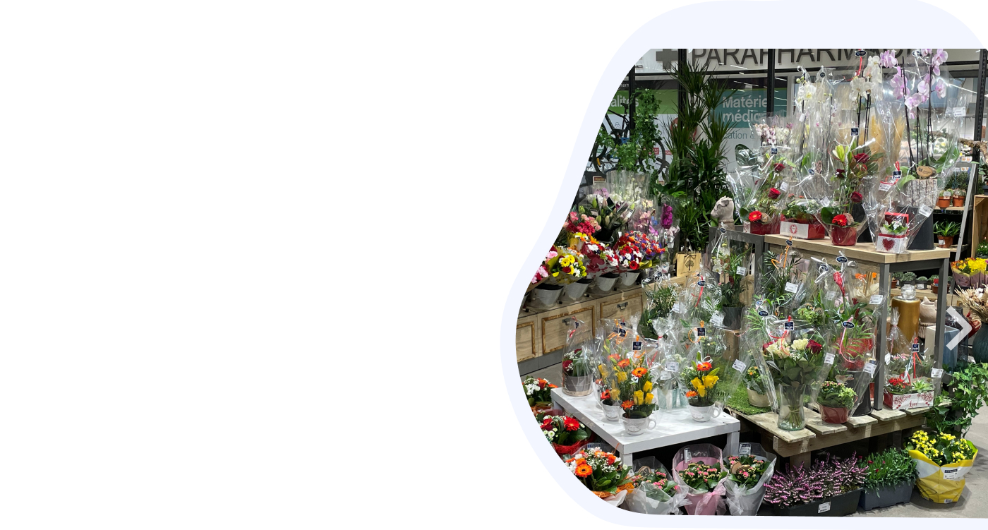 GESTION FLORALE SUPERMARCHÉS