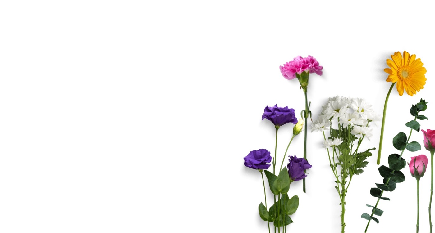 VENTE DE FLEURS ET PLANTES AU DÉTAIL
